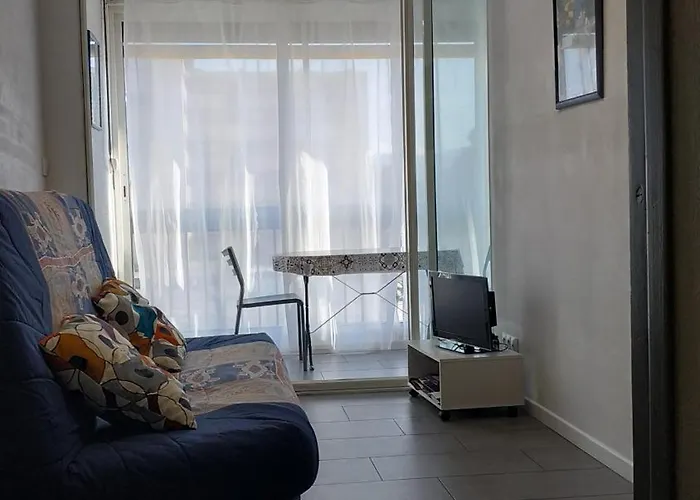 30m2 Classé 2 étoiles Atout France 200m Port Plages Commerces * Saint-Cyprien (Pyrenees-Orientales)